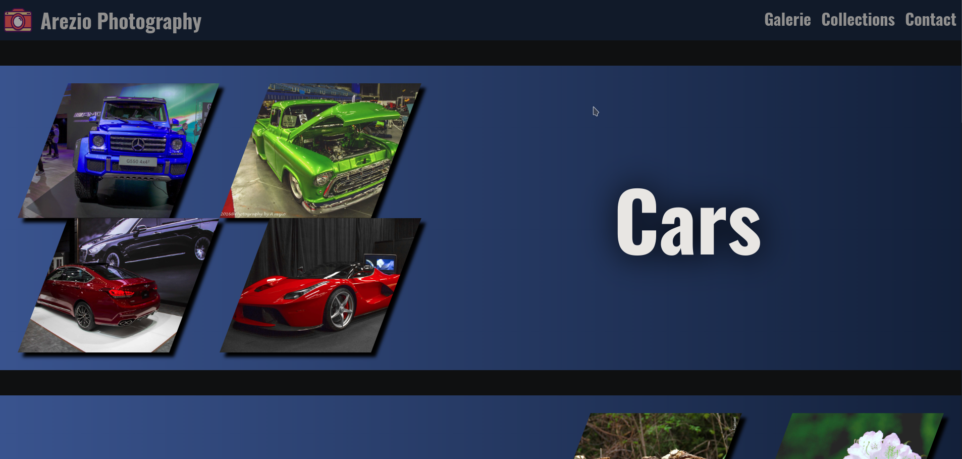 Photography Portfolio